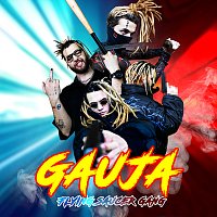 Flying Saucer Gang – Gauja