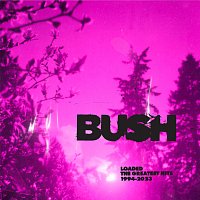 Bush – Nowhere To Go But Everywhere