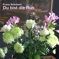 Schubert: Du bist die Ruh, D. 776