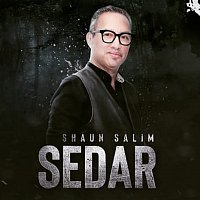 Shaun Salim – Sedar