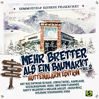 Různí interpreti – Summerfield Records prasentiert: Mehr Bretter als ein Baumarkt, Vol. 2 [Huttenalarm Edition]