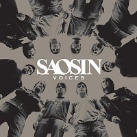 Saosin – Voices