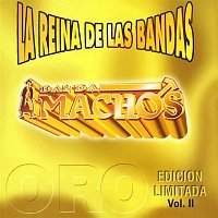 Banda Machos – La reina de las bandas Vol. II