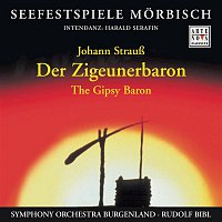 Symphony Orchestra Burgenland, Rudolf Bibl, Martina Serafin, Harrie Van Der Plas, Elena Batoukova – Johann Strausz: The Gipsy Baron