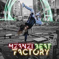 Různí interpreti – Mzanzi Beat Factory
