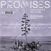 Calvin Harris, Sam Smith – Promises (David Guetta Extended Remix)