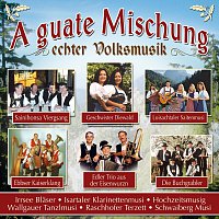 Různí interpreti – A guate Mischung echter Volksmusik