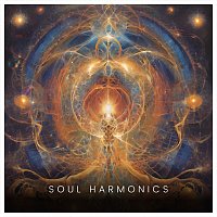 Healing Sounds Of Shaman – Soul Harmonics
