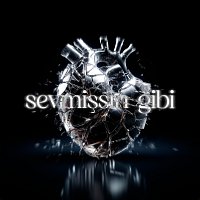 Berkay Akman – Sevmişsin Gibi
