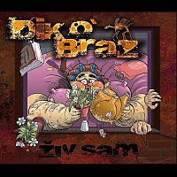 Přední strana obalu CD Ziv sam