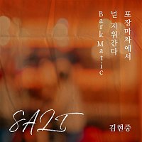 Kim Hyun Joong – SALT