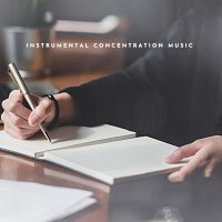 Různí interpreti – Instrumental Concentration Music
