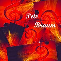 Petr Braum – Musictron