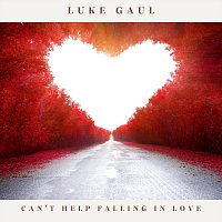 Luke Gaul – Can’t Help Falling in Love (Arr. for Guitar)