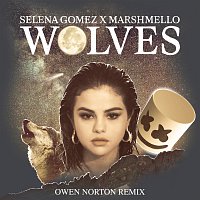 Selena Gomez, Marshmello – Wolves [Owen Norton Remix]
