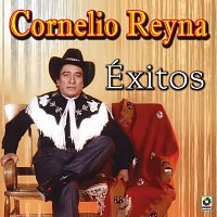 Cornelio Reyna – Éxitos