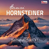 Hansi Hornsteiner und Freunde – Heimatleuchten #1