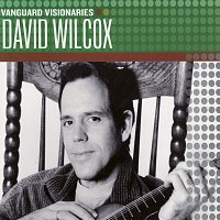 David Wilcox – Vanguard Visionaries