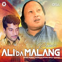 Bally Sagoo, Nusrat Fateh Ali Khan – Ali Da Malang [Remix]