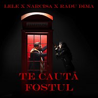 Lele, Narcisa, Radu Dima, Manele VTM – Te caută fostul