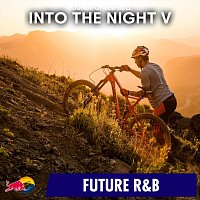 Přední strana obalu CD Into the Night V