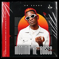 Dr Skaro – Modimo Ke Bosso