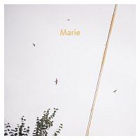 AnnenMayKantereit – Marie