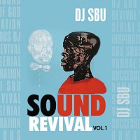 Přední strana obalu CD Sound Revival