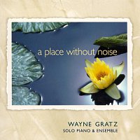 Wayne Gratz – A Place Without Noise