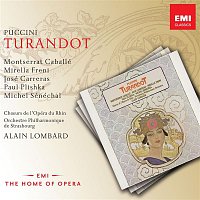 Přední strana obalu CD Puccini - Turandot