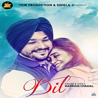 Přední strana obalu CD Dil