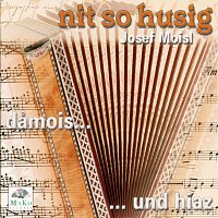 Josef Moisl, mozPartie, Die Hornmusi, Tennalmmusi, Unteraumusikanten, Trio K M K – nit so husig