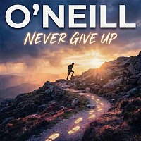 Přední strana obalu CD Never Give Up