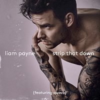 Liam Payne, Quavo – Strip That Down