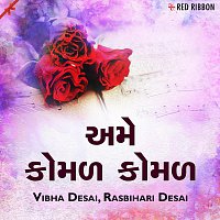 Vibha Desai, Rasbihari Desai – Ame Komal Komal