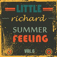 Little Richard – Summer Feeling Vol. 6