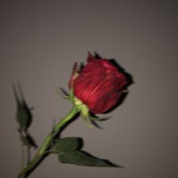 Přední strana obalu CD Something, Somewhere.