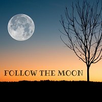 Přední strana obalu CD Follow the Moon