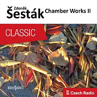 Přední strana obalu CD Zdeněk Šesták: Chamber Works II