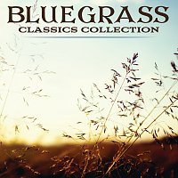 Přední strana obalu CD Bluegrass Classics Collection Power Picks -  75 Classics