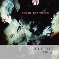 Přední strana obalu CD Disintegration [Deluxe Edition]