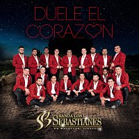 Banda Los Sebastianes De Saúl Plata – Duele El Corazón