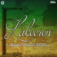 Různí interpreti – Lakeeren