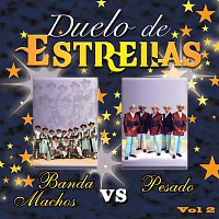 Various  Artists – Pesado vs Banda Machos Vol. 2