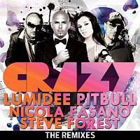 Crazy - The Remixes