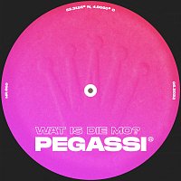 Pegassi – Wat Is Die Mo?