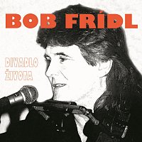 Bob Frídl – Divadlo života