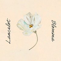 Lancelot – Blomma