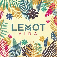 Přední strana obalu CD Vida