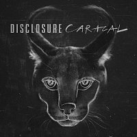 Přední strana obalu CD Caracal [Deluxe]